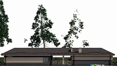 Проект бани 8 на 31, площадью 170 м² с терассой, бассейном, беседкой и санузлом — фасад 5