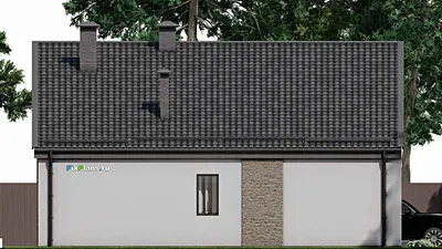 Проект одноэтажного дома 14 на 15, площадью 170 м² с террасой и 3 спальнями (F-8369) — фасад 4