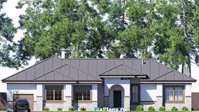 Проект одноэтажного дома 22 на 23, площадью 250 м² с спортзалом и 2 спальнями — фасад 3