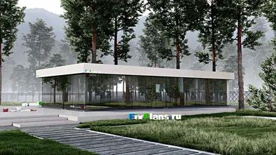 Проект одноэтажного дома 11 на 21, площадью 190 м² с 2 спальнями — фасад 2