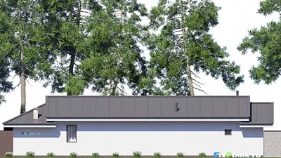 Проект одноэтажного дома 10 на 22, площадью 150 м² с террасой, баней и 1 спальнями — фасад 6