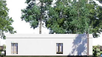 Проект одноэтажного дома 21 на 23, площадью 330 м² с террасой, гаражом на 2 машины и 3 спальнями — фасад 4