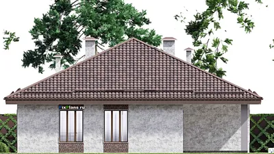 Проект одноэтажного дома 15 на 16, площадью 170 м² с террасой и 3 спальнями (F-14354) — фасад 5