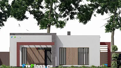 Проект одноэтажного дома 14 на 15, площадью 150 м² с террасой и 2 спальнями — фасад 3