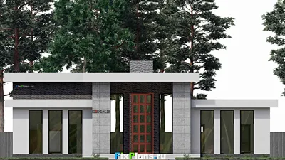 Проект одноэтажного дома 12 на 23, площадью 290 м² с террасой и 2 спальнями — фасад 3