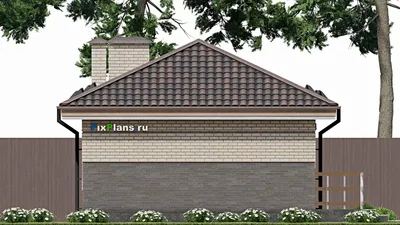 Проект бани 8 на 31, площадью 170 м² с терассой, бассейном, беседкой и санузлом — фасад 6