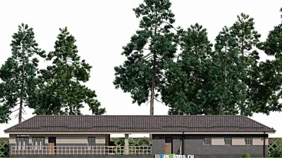 Проект бани 8 на 31, площадью 170 м² с терассой, бассейном, беседкой и санузлом — фасад 4