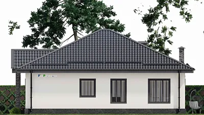 Проект одноэтажного дома 14 на 19, площадью 200 м² с гаражом на 2 машины и 3 спальнями (F-3644) — фасад 5