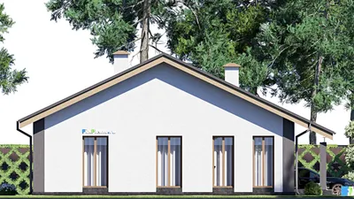 Проект одноэтажного дома 12 на 14, площадью 120 м² с 2 спальнями — фасад 4