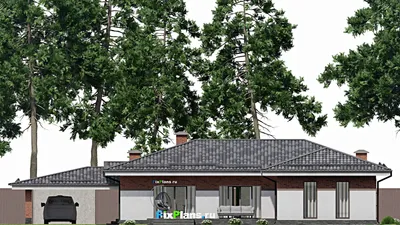 Проект одноэтажного дома 17 на 17, площадью 270 м² с террасой и 3 спальнями — фасад 6